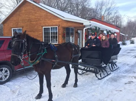 Country Cabin In The Heart Of Amish Country In Scenic Valley Near Canton, MN