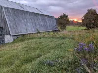 Private tent camping along the Salmon River on 165-acre Farm.
