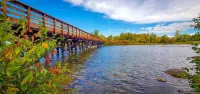Breezy Hills - Unit 4; Lake Bemidji, King Bed, Kayaks, PB Trail Private Access