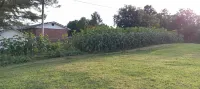 Scenic View - this farm has it all!
