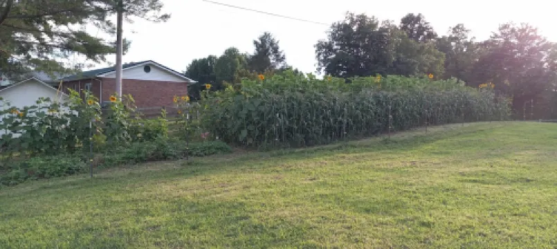 Scenic View - this farm has it all!