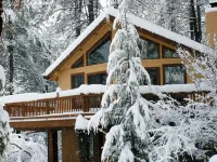 Privacy! One  & 1/2 acre with wrap around deck. Backs the National Forest. - Alppimaja