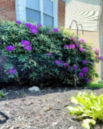 Townhome in Elizabethton, TN near Tweetsie Trail