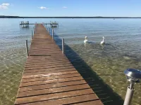 Beautiful Cottage on Mullett Lake