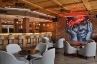 Hilton Cabo Verde Sal Resort - bar