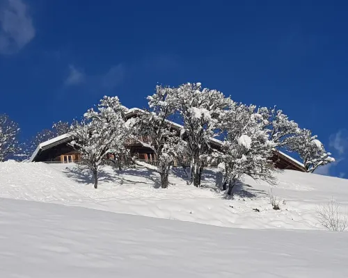 A Rare Nugget in the Mountains - Chalet with Authentic Charm - Spa - Unique Atmosphere Hotels in Hauteluce