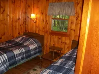 Pet-Friendly Cabin With Air-Conditioning & Fireplace