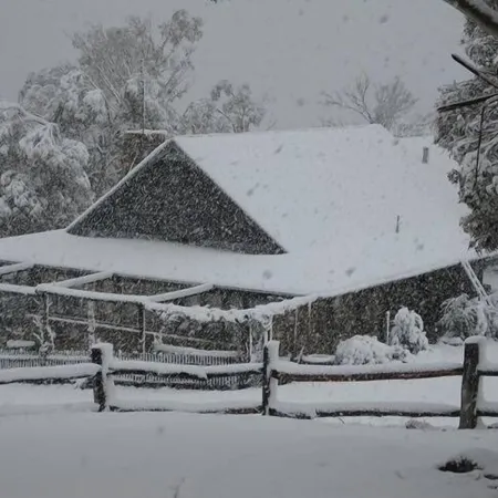 Bush Grove on the snowy river