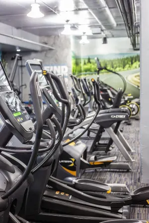 Luxury Retreat, Minutes to DC and Metro, Free Parking, Perfect for Families