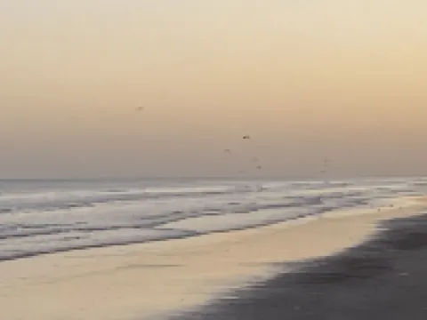 Bay views Cottage w/private suite, 4 min from beach and Moody Gardens