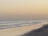 Bay views Cottage w/private suite, 4 min from beach and Moody Gardens