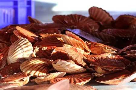 New Sea View  Port en Bessin Normandy Landing Beaches Calvados