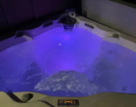 Pristine 4 seasons cabin with 9 beds & hot tub