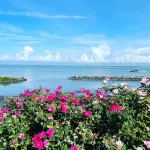 Newly renovated home just steps from the beach!