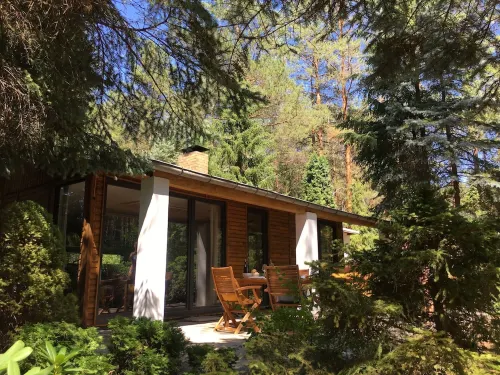 BUNGALOW IN THE FOREST on a natural plot