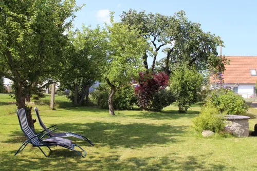 Small isolated cottage on a large meadow and orchard land