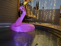 SD Lux Oasis: Theatre, Spa, 14Beds, AC, Sleeps 20+