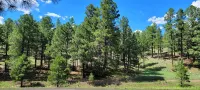 Townhome in the Pines-Quiet Cul-De-Sac-A/C-W&D-Fireplace-Close to Nau & Trails - ห้องครัว