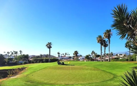 Blue Sky Home, Amarilla Golf