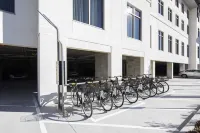 Embassy Suites by Hilton St Augustine Beach Oceanfront Resort - parking