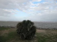 Saltwater Zen -- Your Oceanfront Retreat on Fripp Island