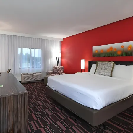 Holiday Inn IRVING - LAS COLINAS by IHG
