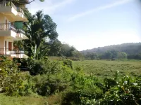 Jungle Palace Homestay Các khách sạn ở 