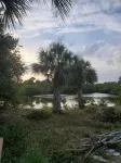 Island State of Mind! Amazing backyard on water with heated pool!