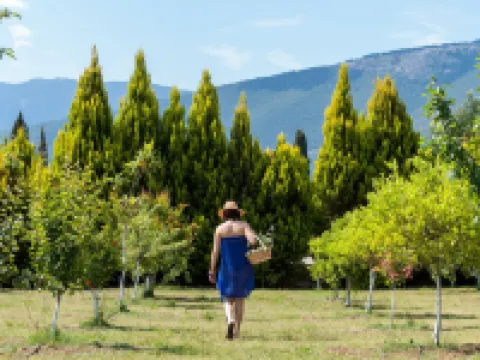 Penelope Villas Hotels in Sami