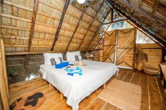 Cabarete Boutique Ecolodge Beachfront