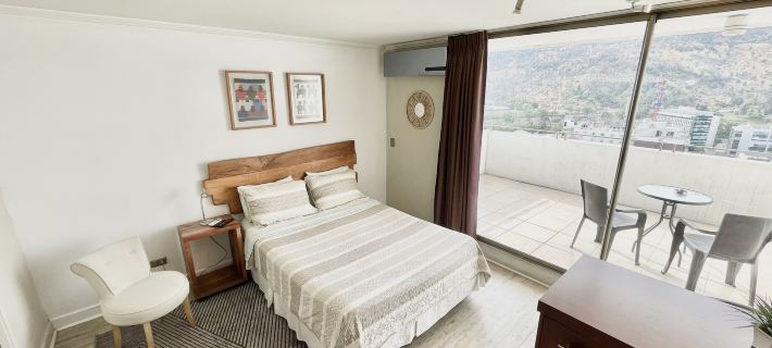 Rho Departamentos Hotels in Providencia