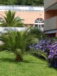 LES TERRASSES DE BORDA