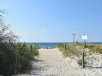 Besondere Ferienwohnung Bibliothek in Buschhagen