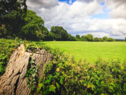 Oak Mead Hotels in Wrexham
