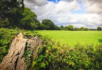 Oak Mead Hoteles en Argoed