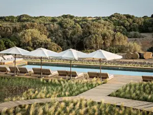 토레 벨라 – 폰테닐 컬렉션