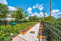 Luxury Furnished Apartments by Hyatus Downtown at Yale