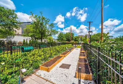 อพาร์ทเมนท์หรูที่มีเฟอร์นิเจอร์ครบแล้วจาก Hyatus Downtown at Yale โรงแรมใน