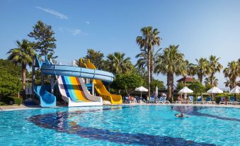 Hotel Terrace Beach Resort All Inclusive