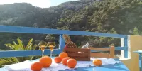Oleander's Garden Traditional Cretan Cottage - Mountain view