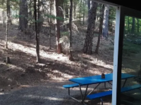 Winterfell - No Hidden Fee; Dog OK; King Bed Hotels in Arnold