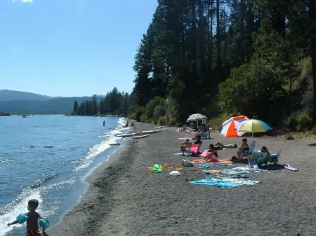 Gourmet Kitchen and Spacious Decks - Charming Handcrafted Haven Отели в г. Доллар Пойнт