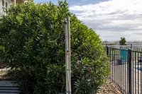 Oceanfront Escape - Elevator, Pool, Hot tub, Internet, Grill