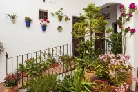 Habitaciones y Apartamentos en El Centro la Jábega by Conil Home