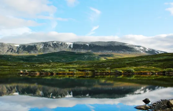 羅頓斯託爾霍非傑利肖特爾酒店
