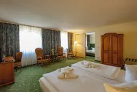 Erzgebirgshotel Freiberger Höhe Hotels in Lengefeld