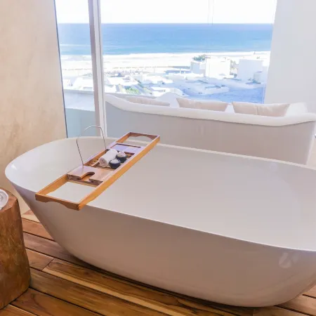 Viceroy Los Cabos