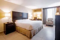 Studio Coliving Hotel