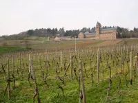 Weingut Jacob Lill IV. Nachfolger Hotels in Bingen am Rhein