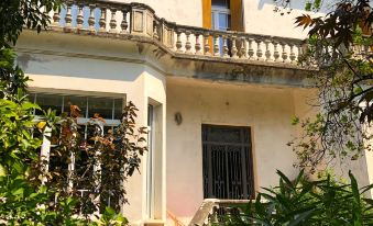 Les Nuits Pétillantes